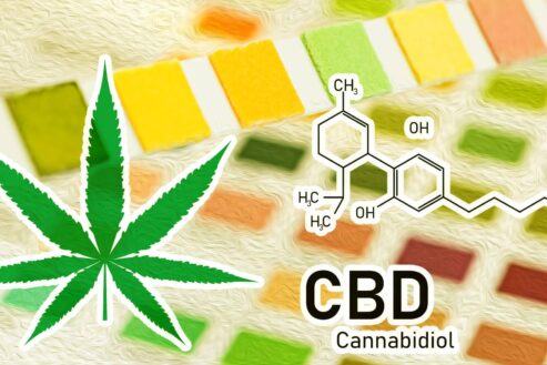 Est-ce que la CBD est autorisé en France ?