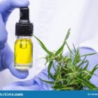 Quel médecin prescrit du CBD ?